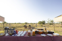 Africa Safari Serengeti Ikoma (Campsite)