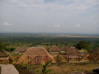 The Baboon Safari Resort
