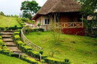 The Baboon Safari Resort