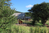 Oseki Maasai Mara Camp Budget tented camp just outside Masai Mara NR – Day 1: Lunch & Dinner Included – Day 2: All Meals Included +58 Photos +57 Photos