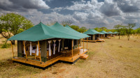 Budget camping Mt Kilimanjaro – Day 1: Lunch & Dinner Included – Day 2-6: All Meals Included
