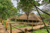 Ngorongoro Forest Tented Lodge