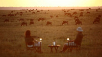 Elewana Elephant Pepper Camp
