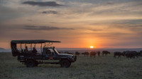 Elewana Elephant Pepper Camp