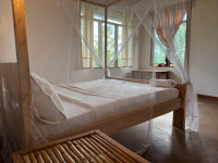 Little Monkey Camp