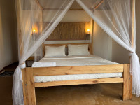 Little Monkey Camp