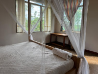 Little Monkey Camp