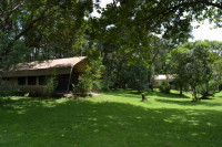 Mara River Camp (Kenya)