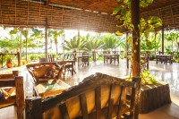 The Zanzibari