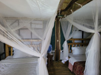 Songbird Safari Lodge Budget lodge just outside Queen Elizabeth NP – All Meals Included +2 Photos
