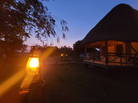 Songbird Safari Lodge Budget lodge just outside Queen Elizabeth NP – All Meals Included +2 Photos