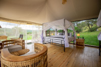 Friends - Serengeti Camp