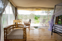 Friends - Serengeti Camp