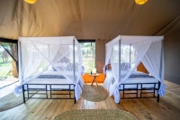 Serengeti Classic View Migration Camp - Ndutu