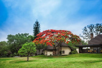 Sabi River Sun Resort