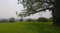 Migombani Campsite