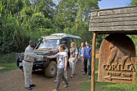 Gorilla Forest Lodge