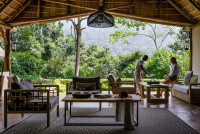 Gorilla Forest Lodge