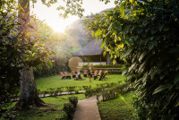 Gorilla Forest Lodge