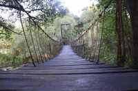 Tintswalo Siankaba Camp