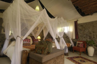 Mbweha Camp
