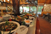 Fig Tree Camp