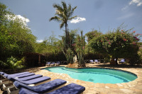 Fig Tree Camp