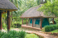 Kibale Forest Camp (Camping)