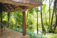 Kibale Forest Camp (Camping)