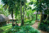 Kibale Forest Camp (Camping)