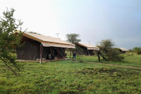 Tanzania Bush Camps - Ndutu Mobile Camp