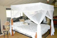 Tanzania Bush Camps - Ndutu Mobile Camp