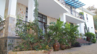 Acactus Hotel