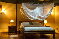 Elephant Hab Lodge