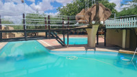 Samburu Elephant Lodge