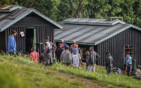 Mandara Hut Budget mountain hut on Mt Kilimanjaro – All Meals Included +5 Photos +4 Photos