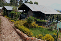 Ruhija Gorilla Friends Resort