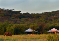 Sound of Silence Tented Camp
