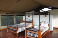 Simba + Oryx Nature Camp