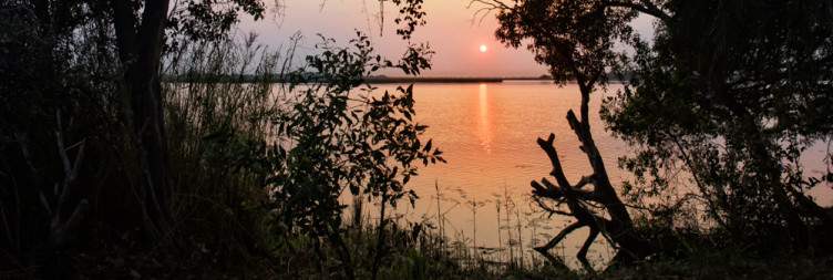 Enter the Okavango Delta