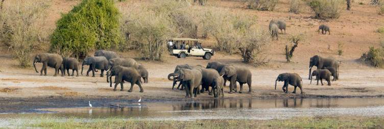 15-Day Botswana and Zimbabwe Ivory Route