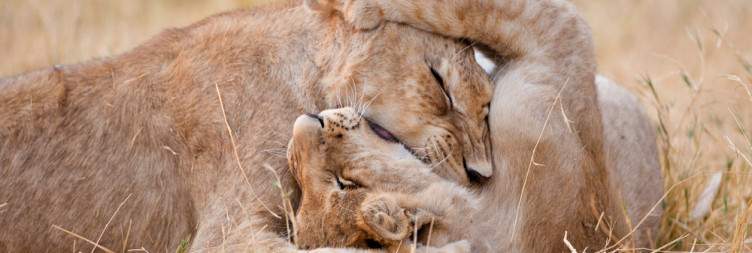 Livingstone - Chobe National Park (Botswana)