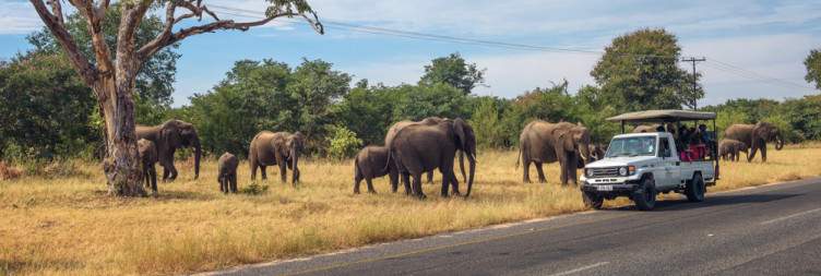 Chobe National Park