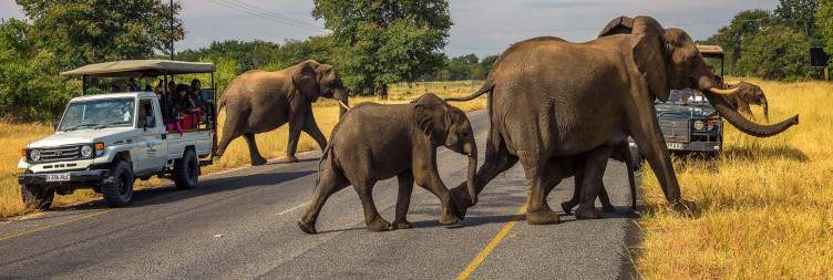 Chobe National Park