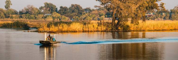 Chobe National Park Safari Experience