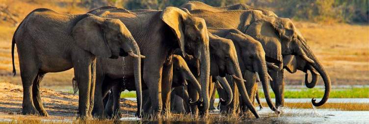 5-Day Batonka Guest Lodge Tour