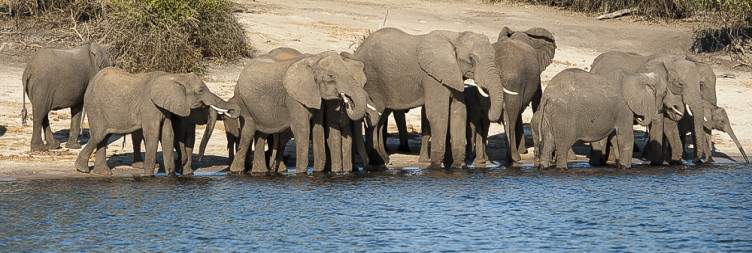 Chobe River Front: Chobe Game Lodge