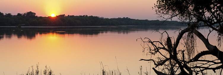 Chobe National Park – Crossing Borders & Into the Wild