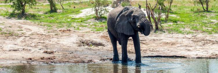 Transfer to Maun (Okavango Delta) via Nata