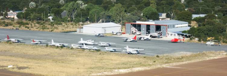 Morning Activity (flight times permitting), Then Fly to Maun